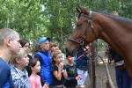 День 
                    лошади отпраздновали в Челябинске "ВИТА" и воспитанники 
                    Детского дома №2