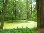 vita20070602-06.jpg