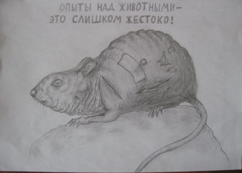    -   - 2010