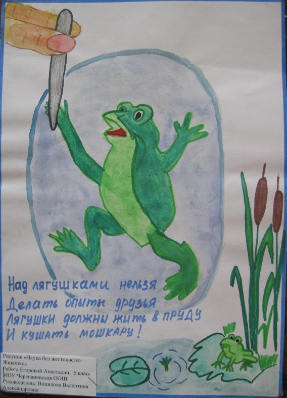    -   - 2010