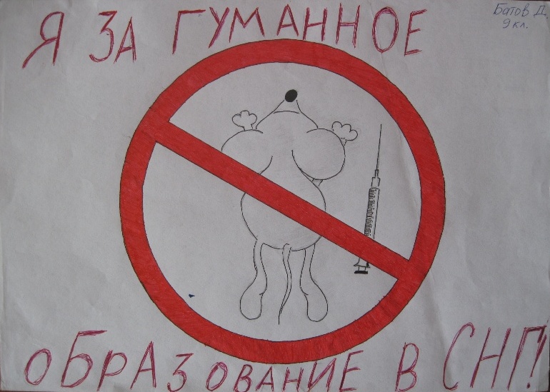    -   - 2010