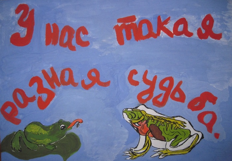    -   - 2010