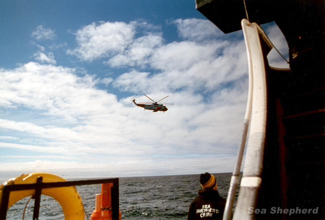   (Sea Shepherd)      ,  2010 .