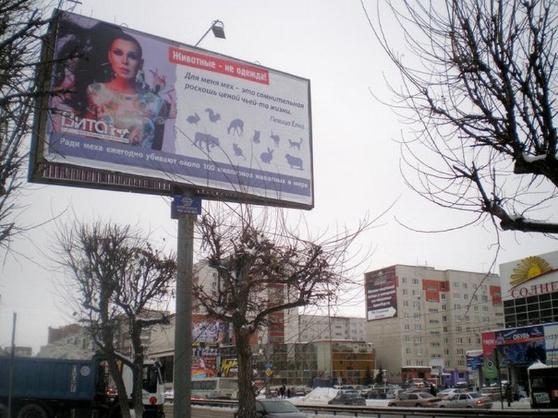 Российские звёзды в кампании Виты: Животные - не одежда!