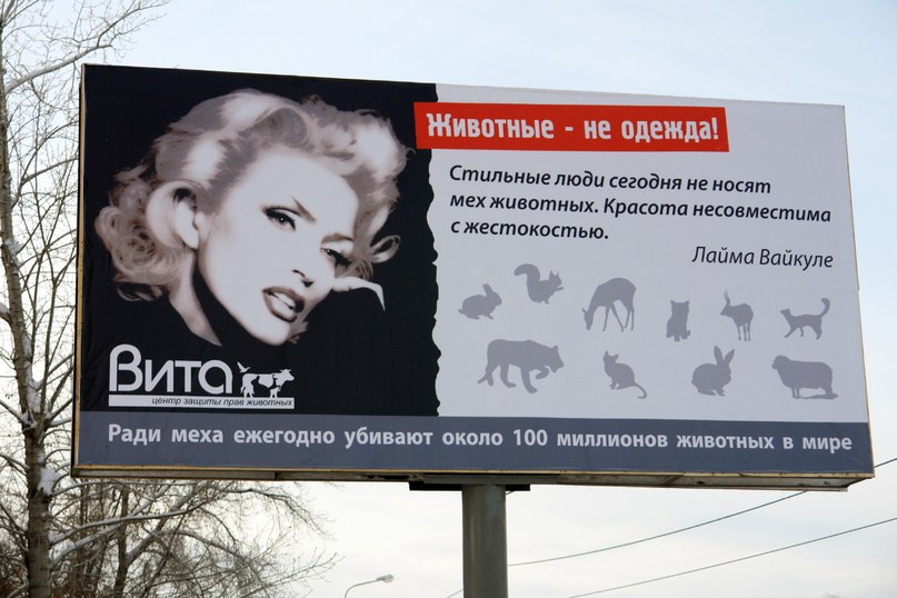 Российские звёзды в кампании Виты: Животные - не одежда!