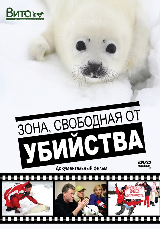 DVD-     