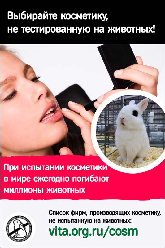 Конкурс "Свободные от жестокости"