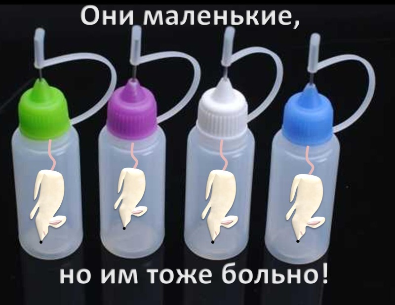 Конкурс "Свободные от жестокости"