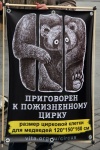 ТИГРЫ ПРОТИВ ЦИРКА-07.jpg