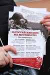 ТИГРЫ ПРОТИВ ЦИРКА