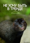 Плакаты Центра защиты прав животных "ВИТА". Дизайн: Ксения Данкер -  01.jpg