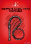 Плакаты Центра защиты прав животных "ВИТА". Дизайн: Ксения Данкер -  05.jpg