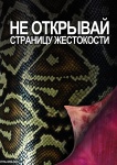 Плакаты Центра защиты прав животных "ВИТА". Дизайн: Ксения Данкер -  07.jpg