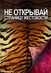 Плакаты Центра защиты прав животных "ВИТА". Дизайн: Ксения Данкер -  08.jpg