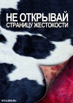 Плакаты Центра защиты прав животных "ВИТА". Дизайн: Ксения Данкер -  09.jpg