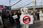 60 городов страны
                     во Всерооссийской акции "Животные - не одежда!"