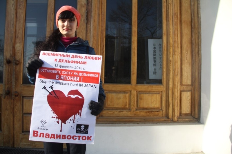 Всемирный день любви к дельфинам, 13 февраля 2015