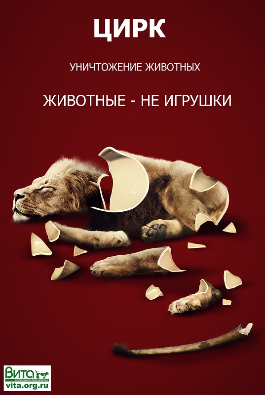 Цирк - ад животных