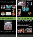 Образование без жестокости: новые украинские вузы