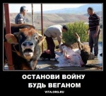 Останови войну - будь веганом
