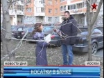  Свободу Нарнии!