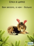 Россия-2015 - без жестокости: без цирка с животными