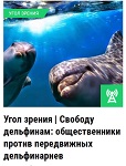>Свободу дельфинам: общественники против дельфинариев - Прямой эфир на радио "Соль" | АУДИО