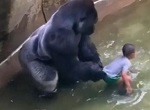 >Горилла Харамбе: хуже смерти для него была лишь жизнь в зоопарке