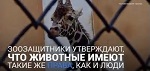 "Будущее. Начало." Ирина Новожилова на 
 "Дожде"
