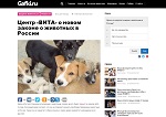 :    Gafki.ru -       