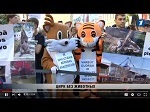>Беспрецедентная победа! Сегодня Латвия запретила цирки с животными