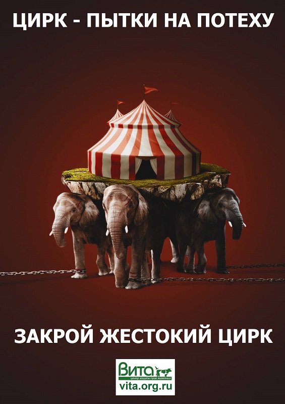 Спаси животных - закрой жестокий цирк в своей стране! 