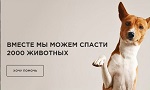 >Поможем спасти жизни подопытных животных