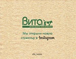 ВИТА в Instagram. Центр защиты прав животных "ВИТА" открывает новую страницу в Инстаграме