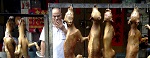 >«Не ем тех, кто мне симпатичен!» О фестивале собачьего мяса и избирательном сострадании мясоедов - Ирина Новожилова, Президент ВИТЫ