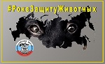 Рок в защиту животных