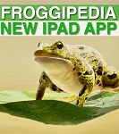    Apple  iPad  Froggipedia