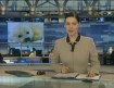 В России запрещена охота на детенышей гренландских тюленей! 02:58, avi. 30 Mb